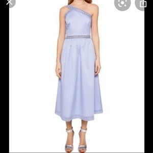 Ted Baker London Kallii Midi Dress